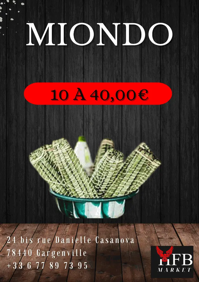 Miondo